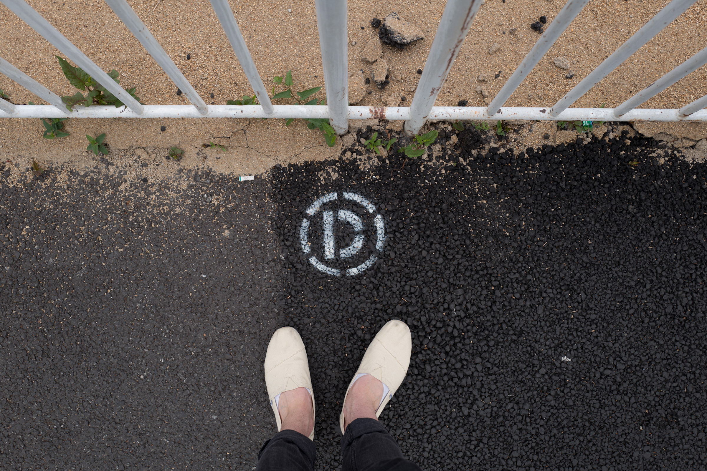 A “D” stenciled onto the streets of Tokyo