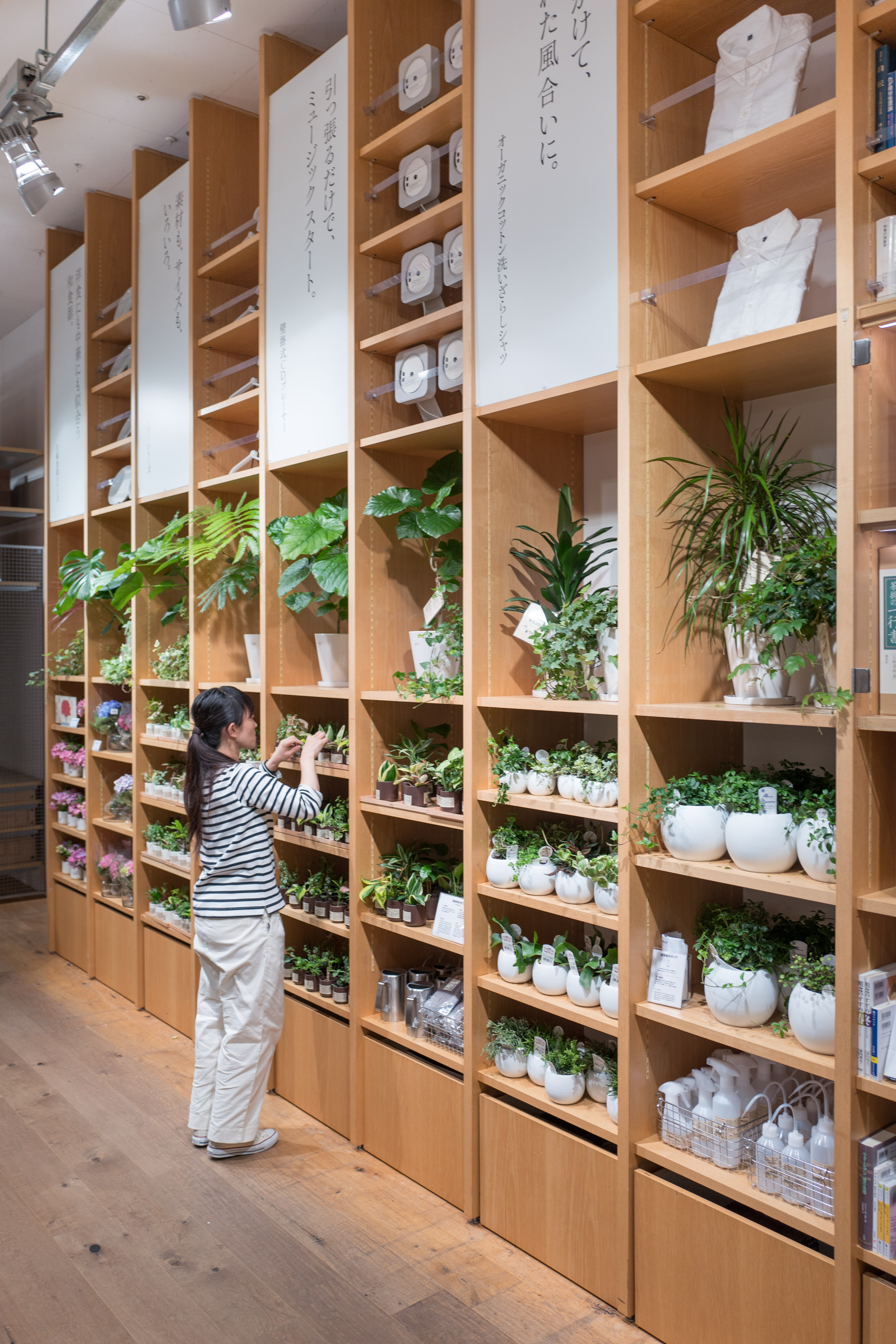 Garden section at MUJI in Ginza