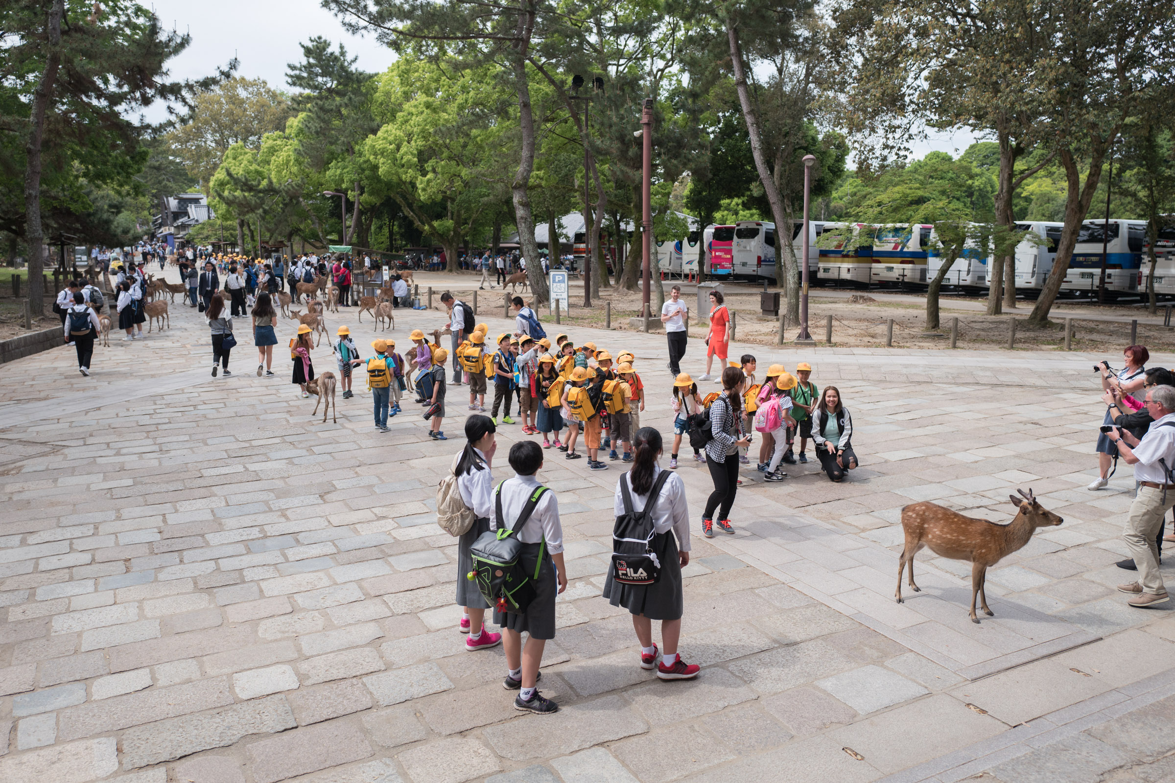 School children from Nara in their uniforms